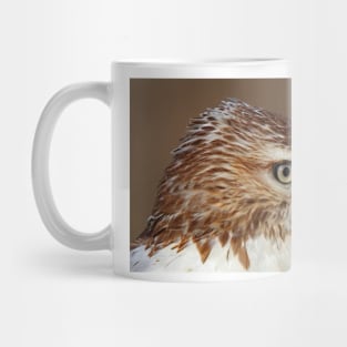 Red-tailed Hawk Portrait Mug